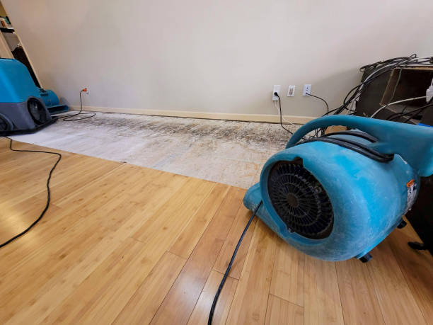 Professional Structural Drying technician working in Linwood, MA